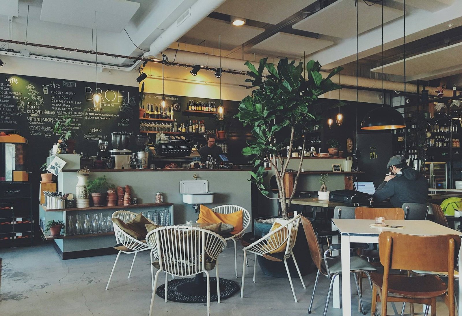 Sunlit interior of The Terrace Café with plants, wooden tables and rattan chairs